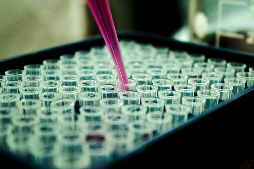 close-up view of laboratory vials arranged on a rack